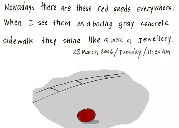Nowadays there are these red seeds everywhere. When I see them on a boring gray concrete sidewalk they shine like a piece of jewelry.