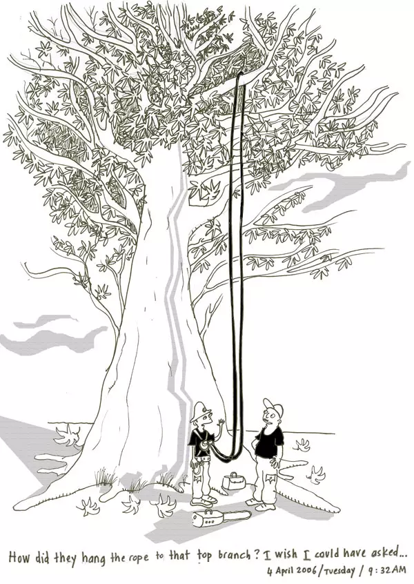 How did they hang the rope to that top branch? I wish I could have asked...