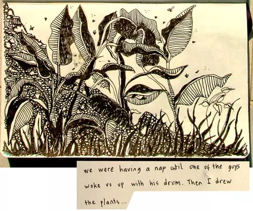 We were having a nap unto one of the guys woke us up with his drum. Then I drew the plants