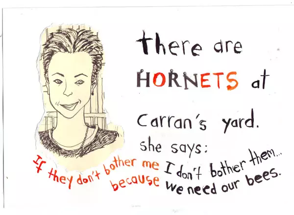there are HORNETS at Carran's yard. she says: If they don't bother me I don't bother them... because we need our bees.