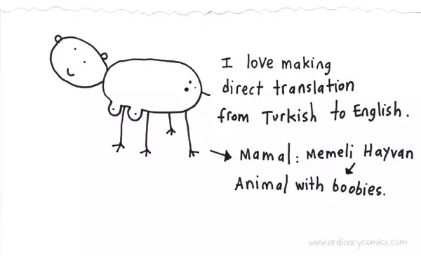 I love making direct translation from Turkish to English. Mammal: Memeli hayvan. Animal with boobies.