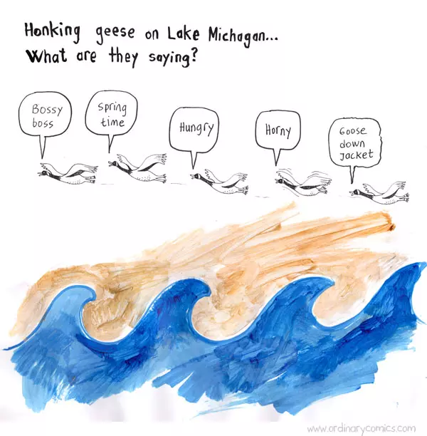 Honking geese on Lake Michigan. What are they saying? Bossy boss Spring time Hungry Horny Goose down jacket