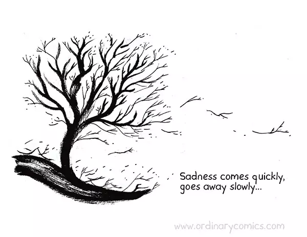Sadness comes quickly, goes away slowly…